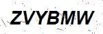CAPTCHA verification image containing distorted text characters