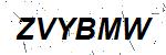 CAPTCHA verification image containing distorted text characters
