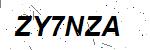 CAPTCHA verification image containing distorted text characters