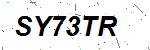 CAPTCHA verification image containing distorted text characters