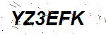 CAPTCHA verification image containing distorted text characters