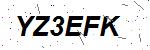 CAPTCHA verification image containing distorted text characters