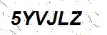 CAPTCHA verification image containing distorted text characters