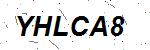 CAPTCHA verification image containing distorted text characters