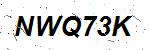 CAPTCHA verification image containing distorted text characters