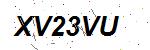 CAPTCHA verification image containing distorted text characters