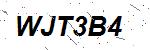 CAPTCHA verification image containing distorted text characters