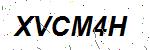CAPTCHA verification image containing distorted text characters