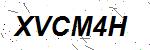 CAPTCHA verification image containing distorted text characters