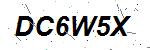 CAPTCHA verification image containing distorted text characters