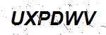 CAPTCHA verification image containing distorted text characters