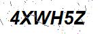 CAPTCHA verification image containing distorted text characters