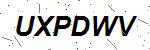 CAPTCHA verification image containing distorted text characters