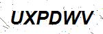 CAPTCHA verification image containing distorted text characters