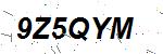 CAPTCHA verification image containing distorted text characters