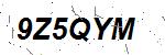 CAPTCHA verification image containing distorted text characters