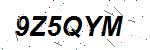 CAPTCHA verification image containing distorted text characters
