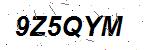 CAPTCHA verification image containing distorted text characters