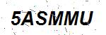 CAPTCHA verification image containing distorted text characters