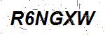 CAPTCHA verification image containing distorted text characters