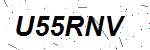 CAPTCHA verification image containing distorted text characters