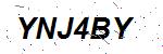 CAPTCHA verification image containing distorted text characters