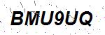 CAPTCHA verification image containing distorted text characters