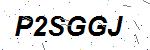 CAPTCHA verification image containing distorted text characters