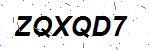 CAPTCHA verification image containing distorted text characters
