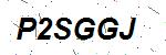 CAPTCHA verification image containing distorted text characters