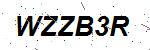 CAPTCHA verification image containing distorted text characters