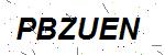 CAPTCHA verification image containing distorted text characters