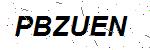 CAPTCHA verification image containing distorted text characters