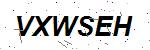 CAPTCHA verification image containing distorted text characters