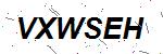 CAPTCHA verification image containing distorted text characters