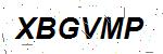 CAPTCHA verification image containing distorted text characters