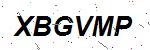 CAPTCHA verification image containing distorted text characters