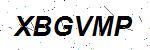 CAPTCHA verification image containing distorted text characters