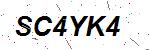CAPTCHA verification image containing distorted text characters