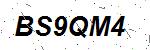 CAPTCHA verification image containing distorted text characters