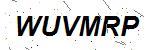 CAPTCHA verification image containing distorted text characters