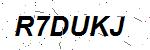 CAPTCHA verification image containing distorted text characters