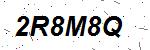CAPTCHA verification image containing distorted text characters