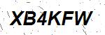 CAPTCHA verification image containing distorted text characters