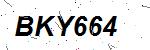 CAPTCHA verification image containing distorted text characters