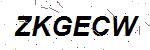 CAPTCHA verification image containing distorted text characters