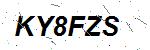 CAPTCHA verification image containing distorted text characters