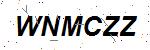 CAPTCHA verification image containing distorted text characters