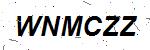 CAPTCHA verification image containing distorted text characters