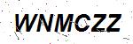 CAPTCHA verification image containing distorted text characters